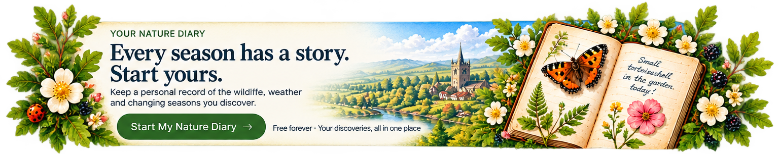 Every season has a story. Start yours. Start My Nature Diary.